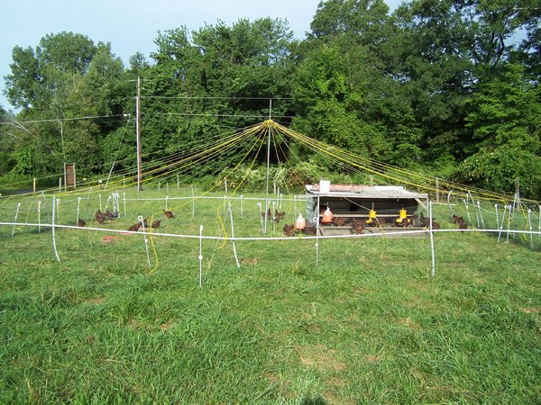 circustentwith2moreropesaddedoneachsideaugust2014.jpg