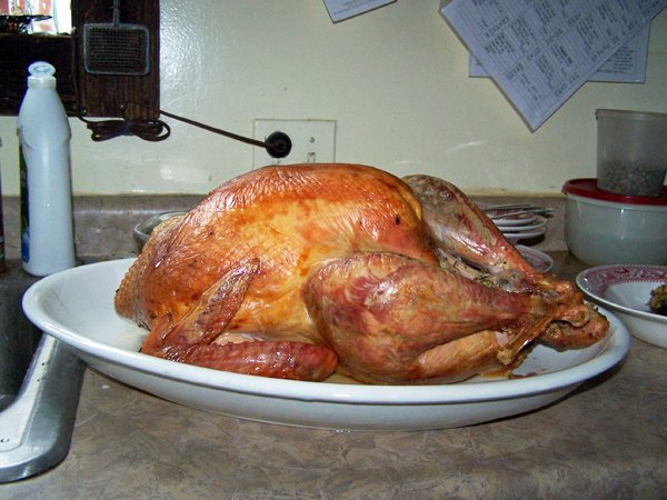 turkeythanksgiving2014.jpg