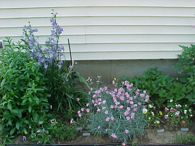 eastgardenjune2005.jpg