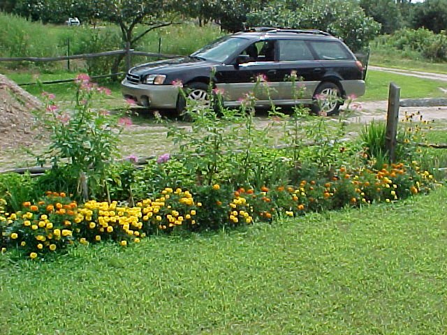 secondfencegardenaugust2005.jpg