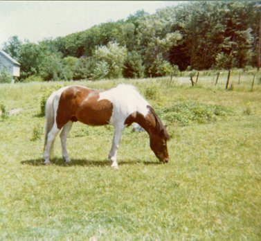 chiefjune1979.jpg