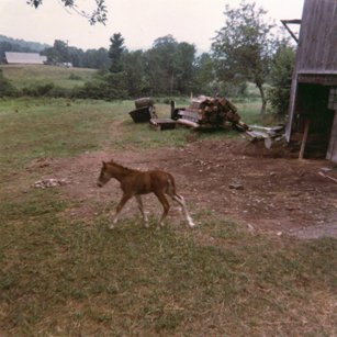 racheloctober1964.jpg