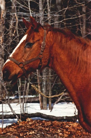 rustyfebruary1988.jpg